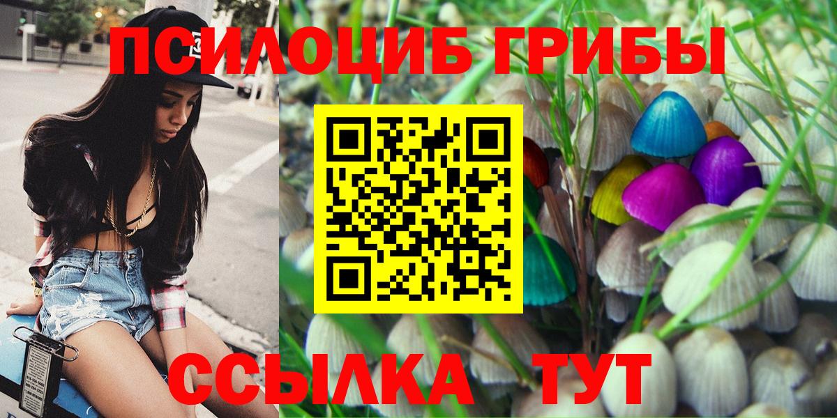 Псилоцибиновые грибы мицелий  Вход с VPN  Борзя 