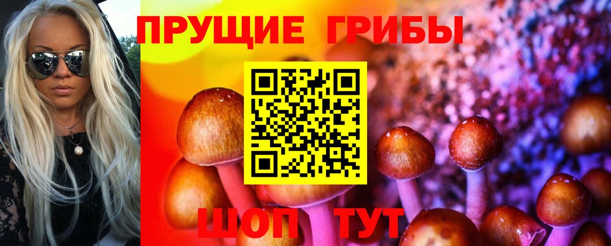 Псилоцибиновые грибы GOLDEN TEACHER Борзя